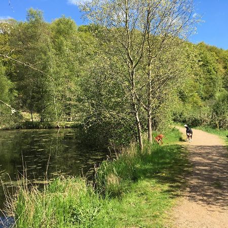 Gemuetliche Ferienwohnung Im Luftkurort Albersdorf  Esterno foto