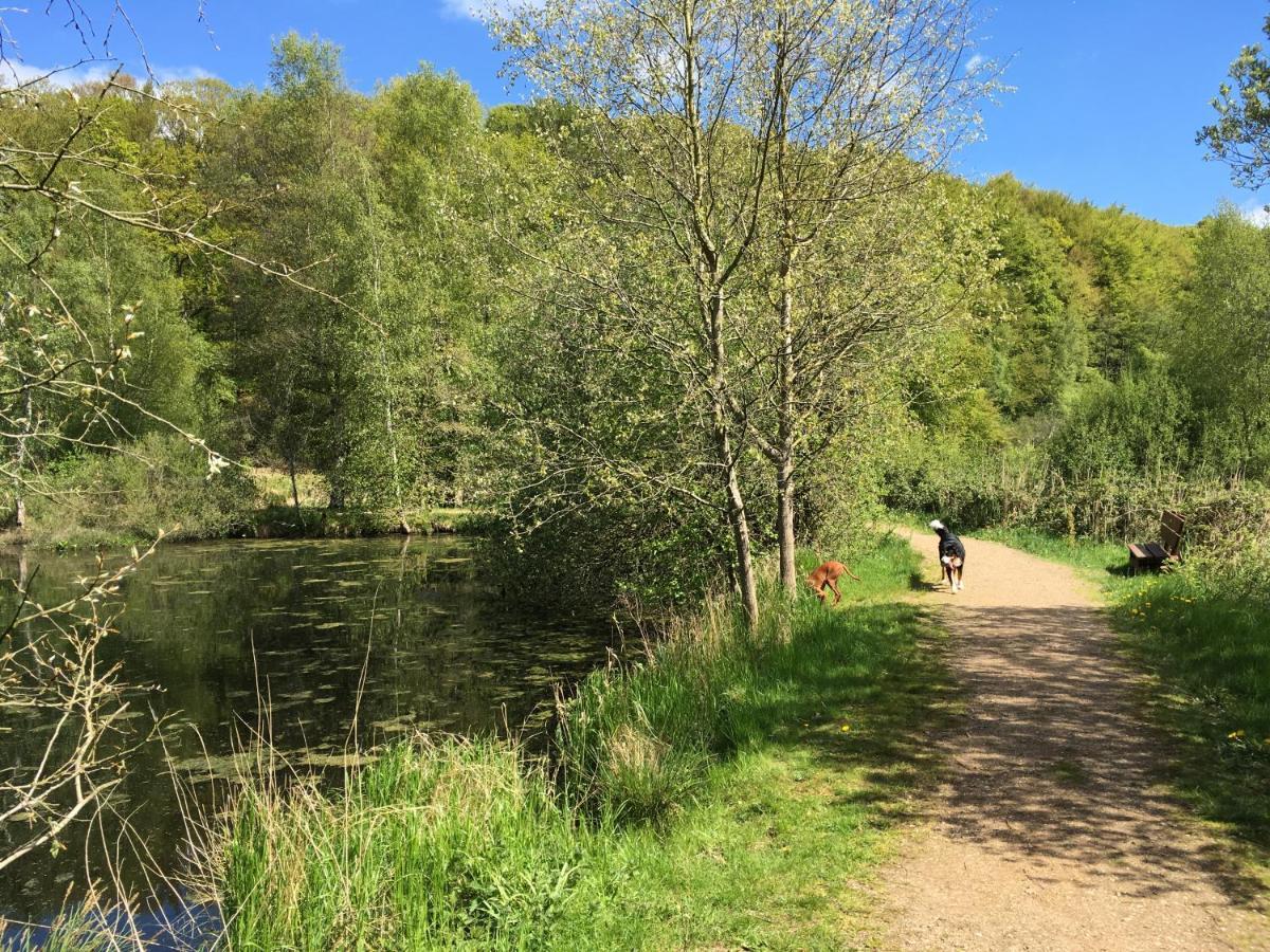 Gemuetliche Ferienwohnung Im Luftkurort Albersdorf  Esterno foto